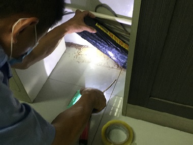 三水验收白蚁机构上门灭白蚁怎么收费