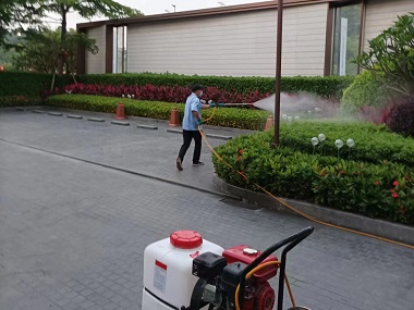 顺德四害消杀站室外环境消杀蚊蝇虫害的方法