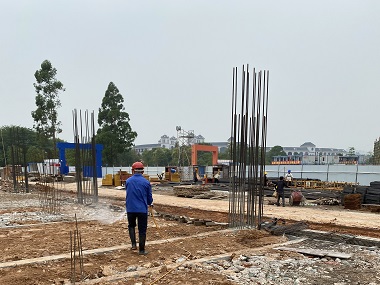 高明白蚁备案中心新建房屋基础该怎么预防白蚁